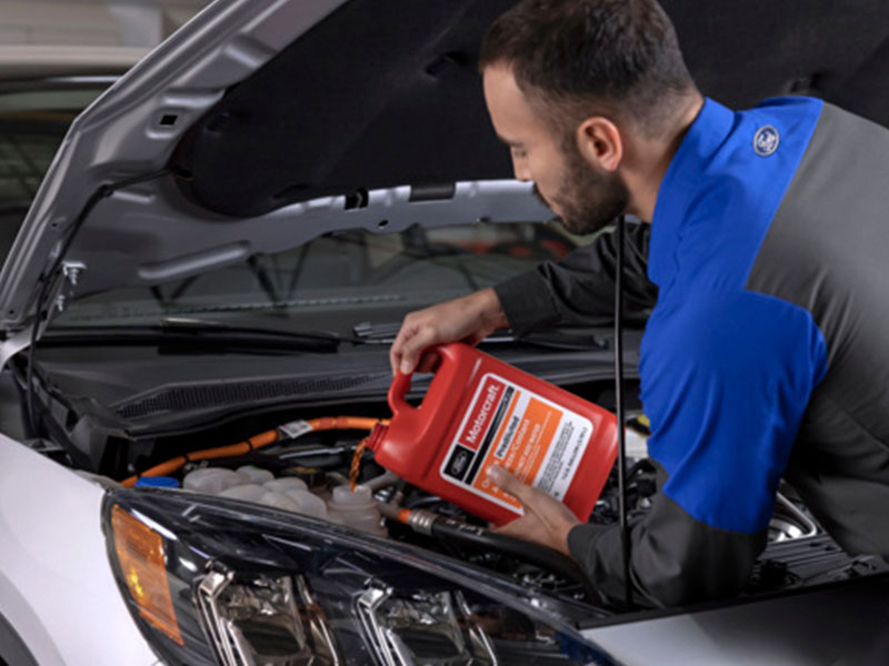 Oil Filter & Fluid Change Service