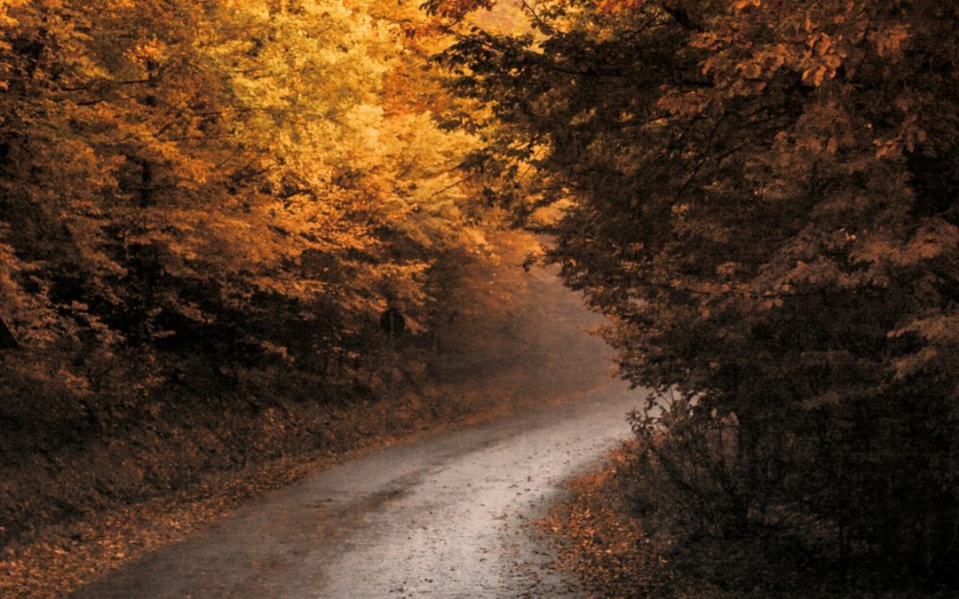 Tire Safety: Why Wet Leaves & Red Clay Are “Invisible Ice”